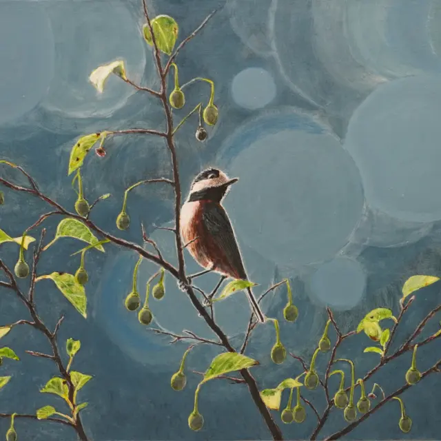 鳥の絵ワイルドバードペイント – ワイルドバードペイントはアクリル