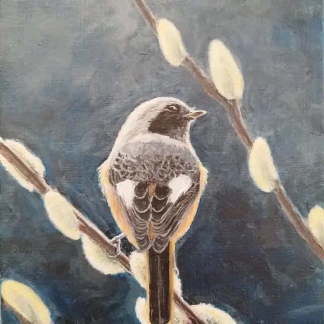 鳥の絵ワイルドバードペイント – ワイルドバードペイントはアクリル